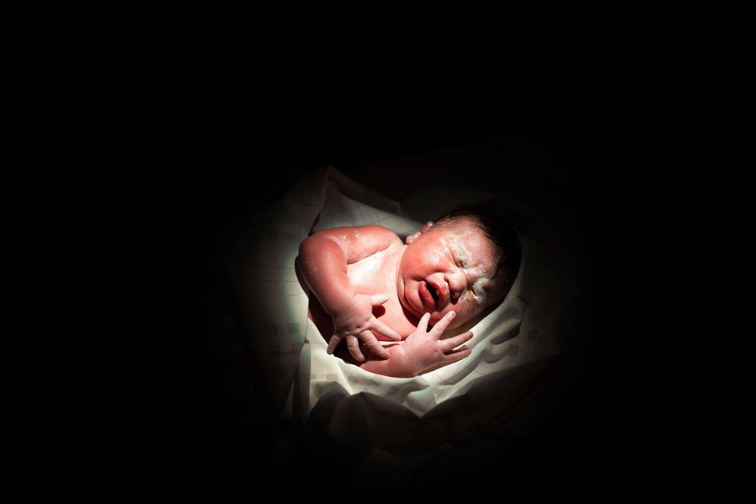 Photo #13500663