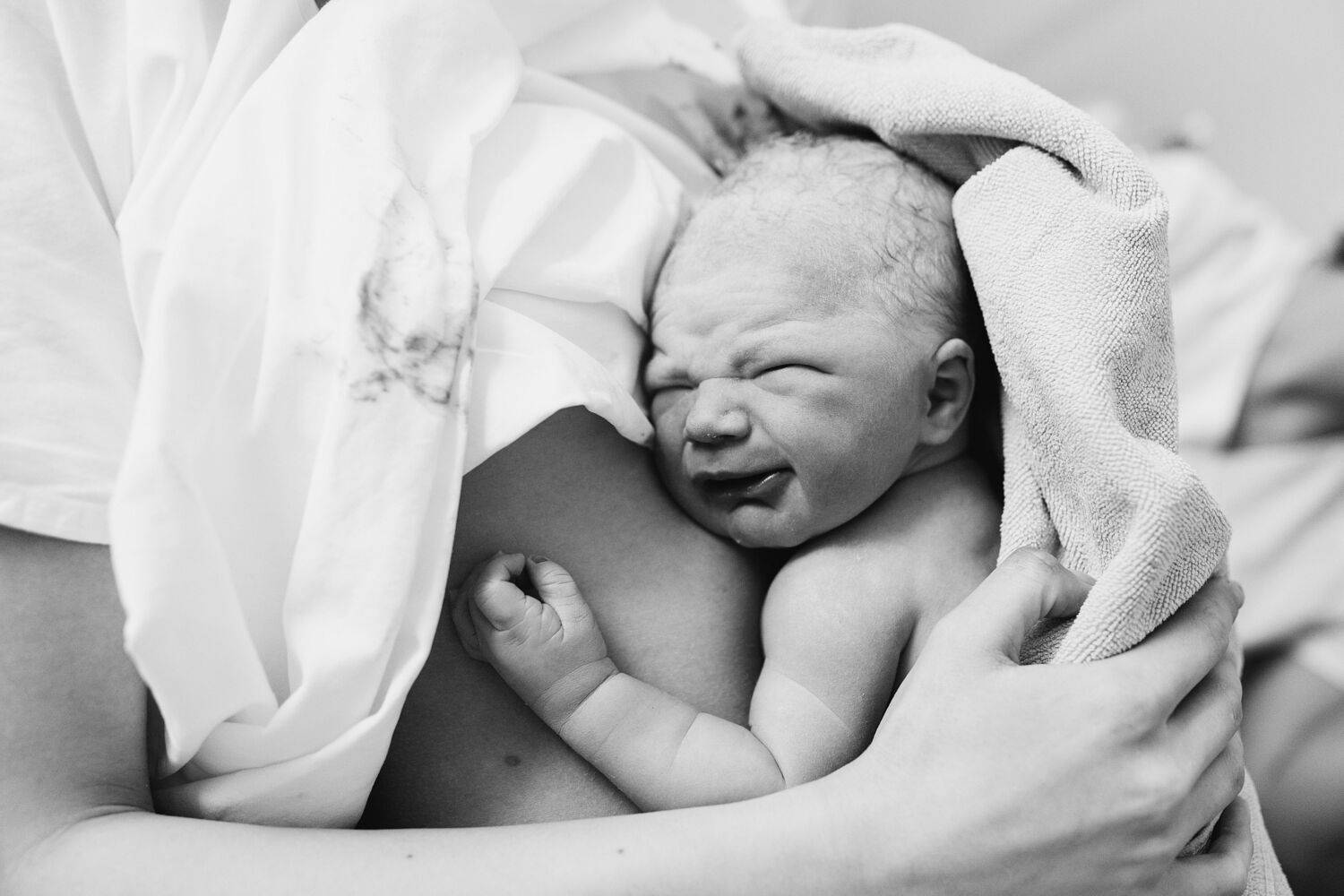 Photo #13500672