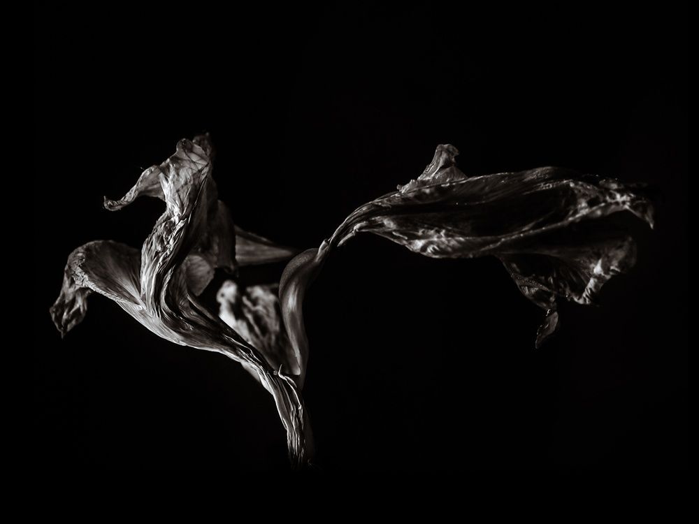 Leap