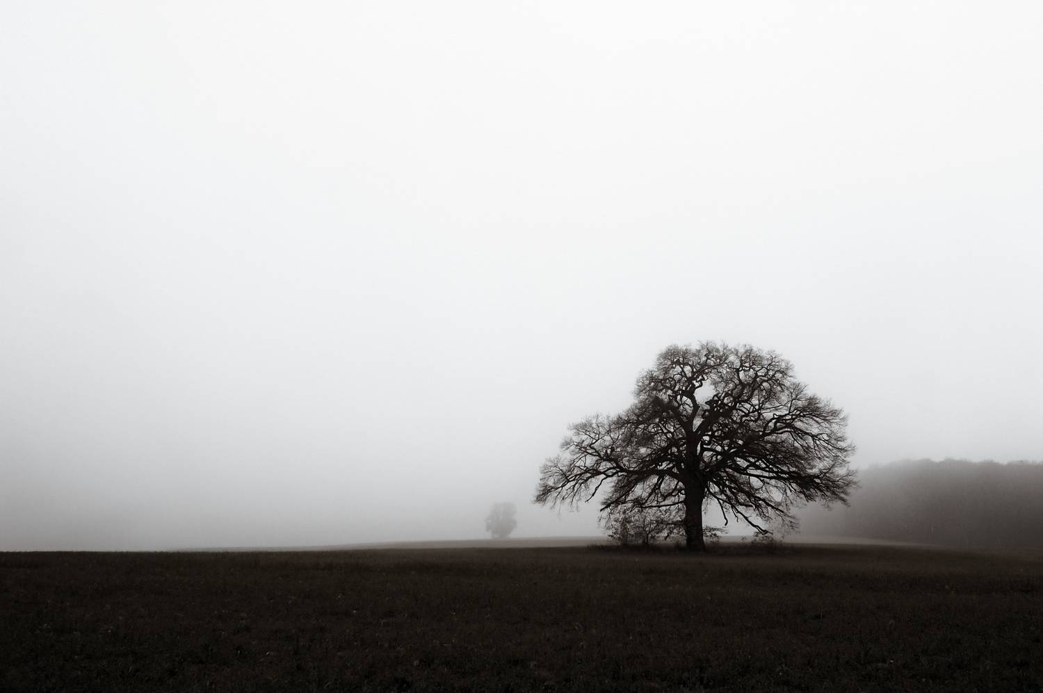 Presence