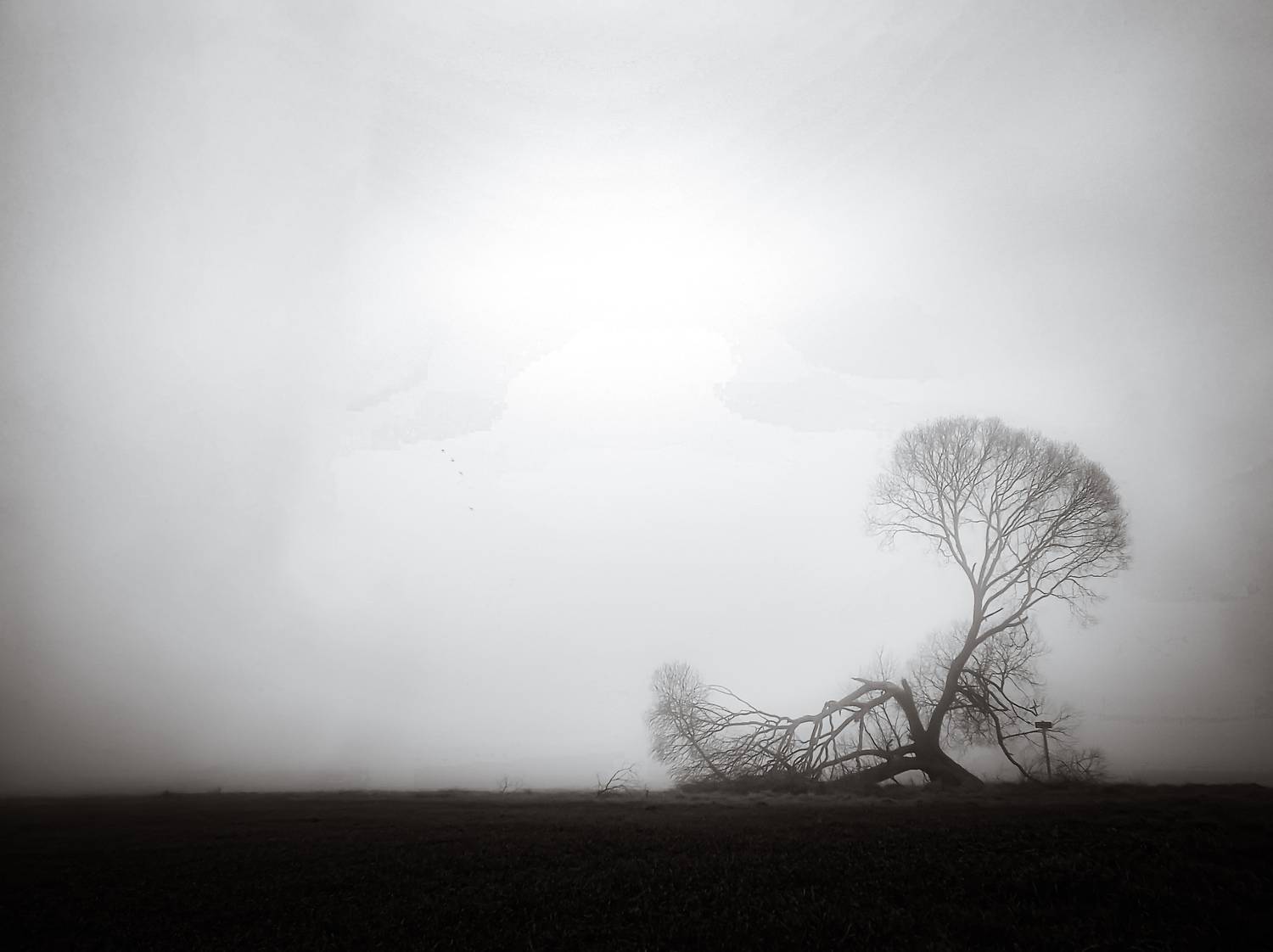 Unbending