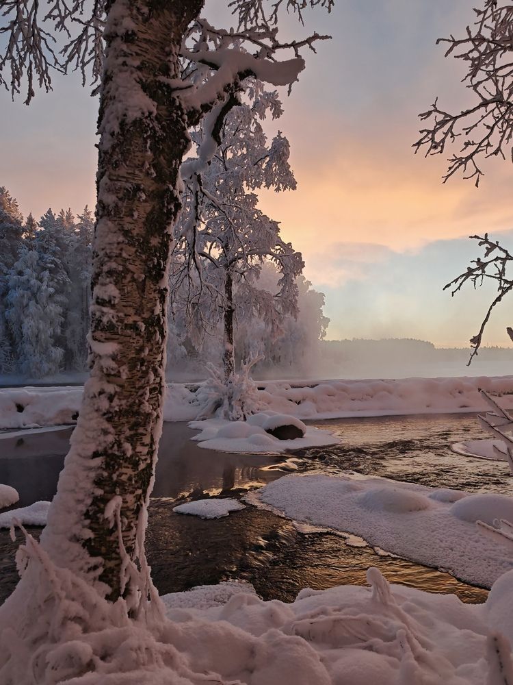 Photograph by OLga Piirainen