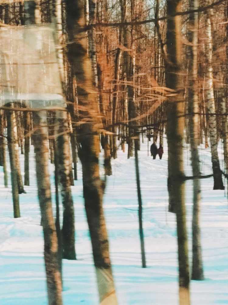 Photograph by Анастасия Юрьева
