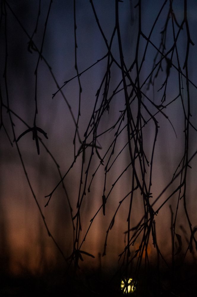Photograph by Анастасия Юрьева