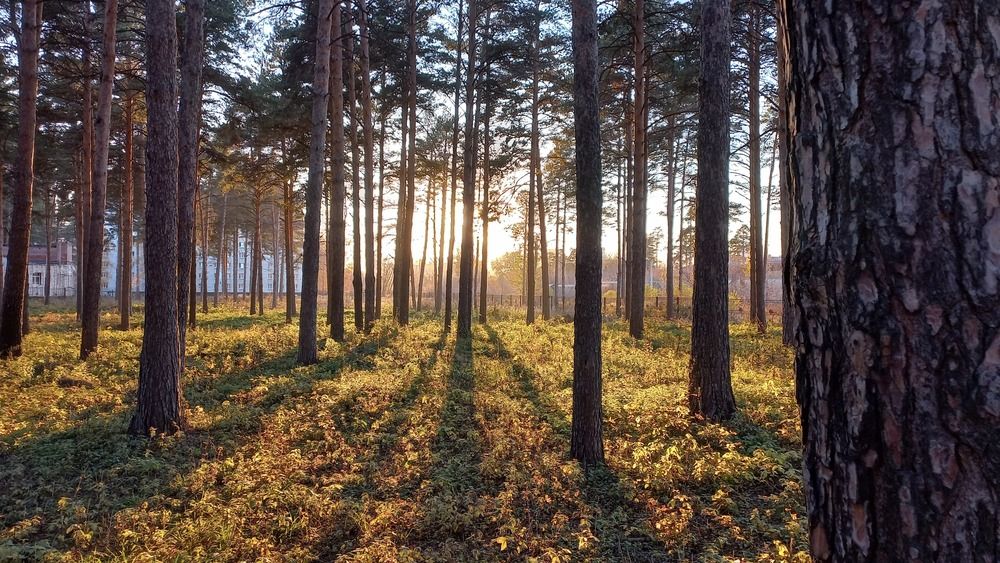 Photograph by Artem Perkov