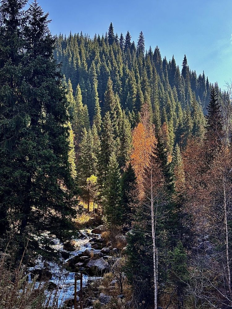 Photograph by Елена Яковлева