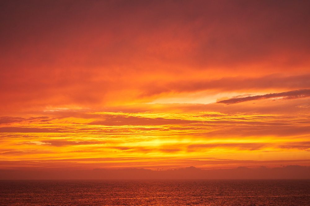 Photograph by Неман Лариса