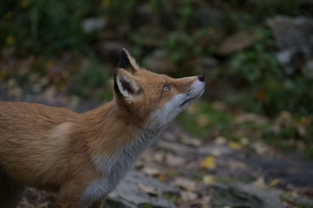 Photograph by Артем Иванович