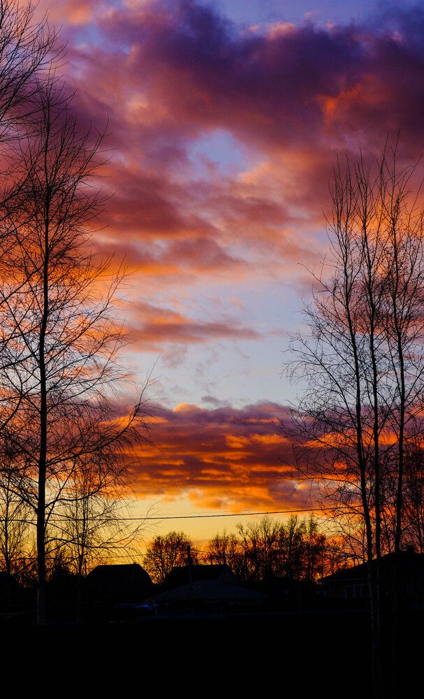 Photograph by Дмитрий Земсков