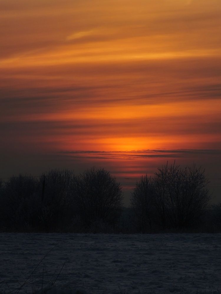 Photograph by Андрей Шестаков