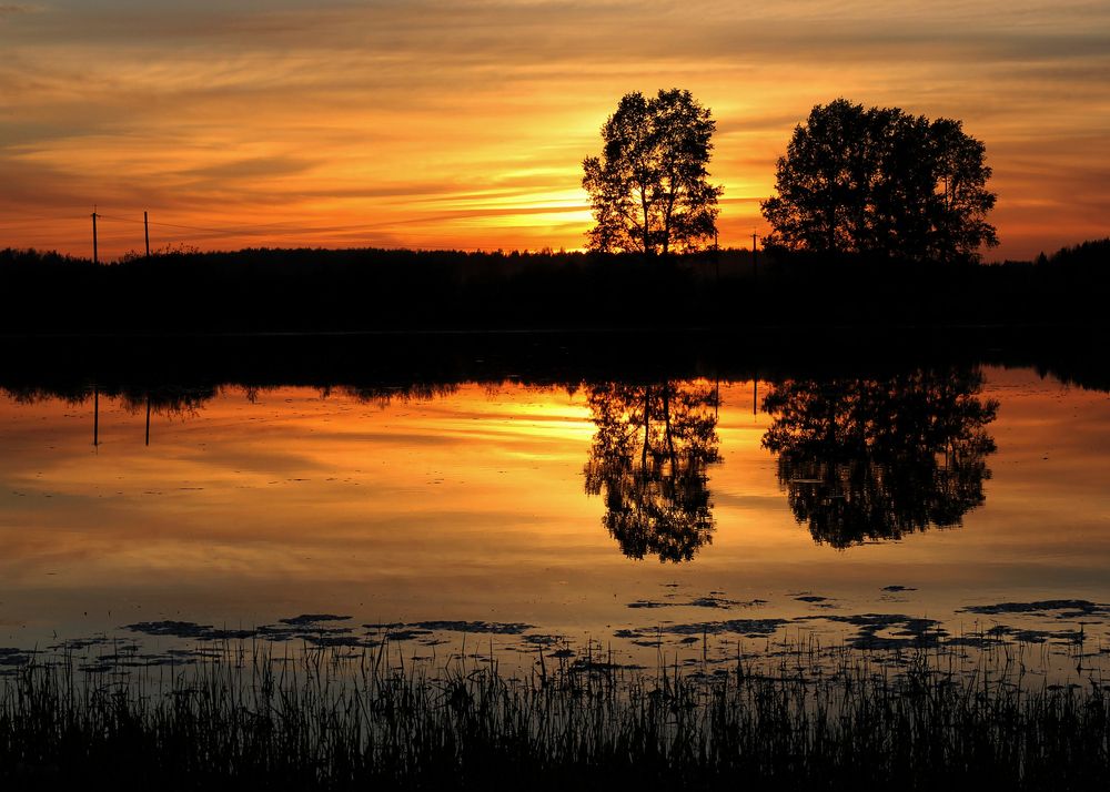 Photograph by Екатерина Зязина