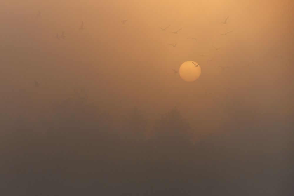 Photograph by Ян