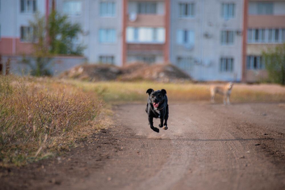 Photograph by Мария