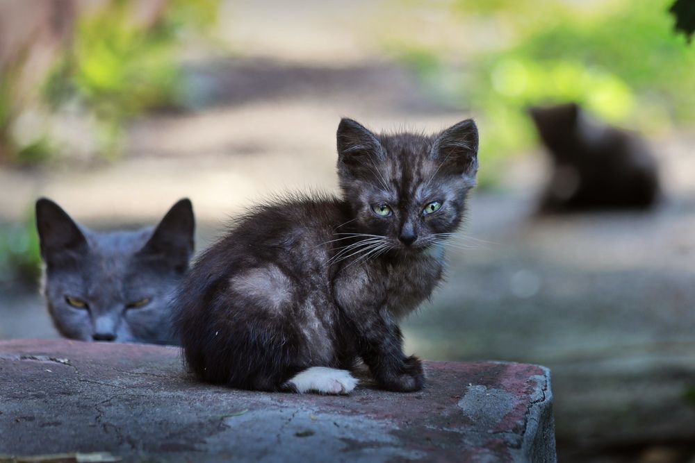 Photograph by Татьяна Бравая