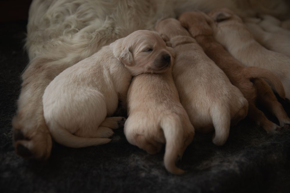 Photograph by Шерскова Мария