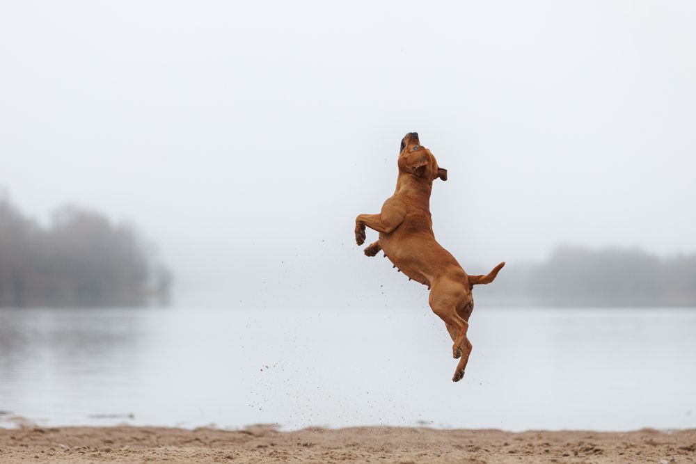 Photograph by Шерскова Мария