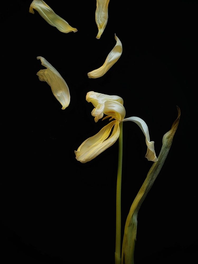 Photograph by Anastasia Malyukova
