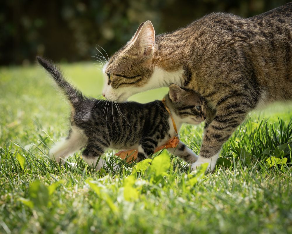 Photograph by Mustafa Sahin