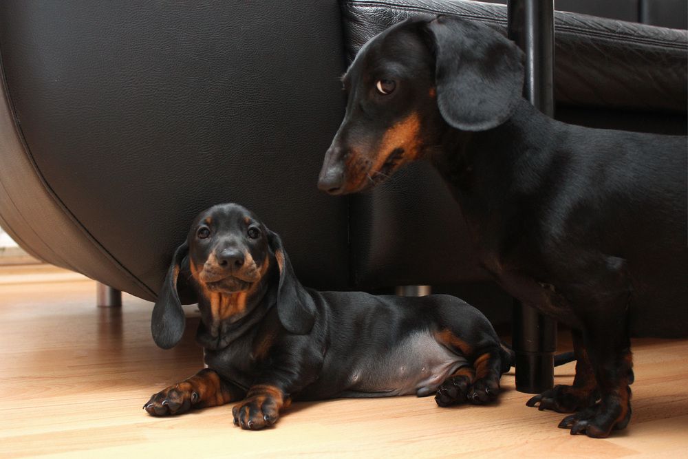 Photo #13502664