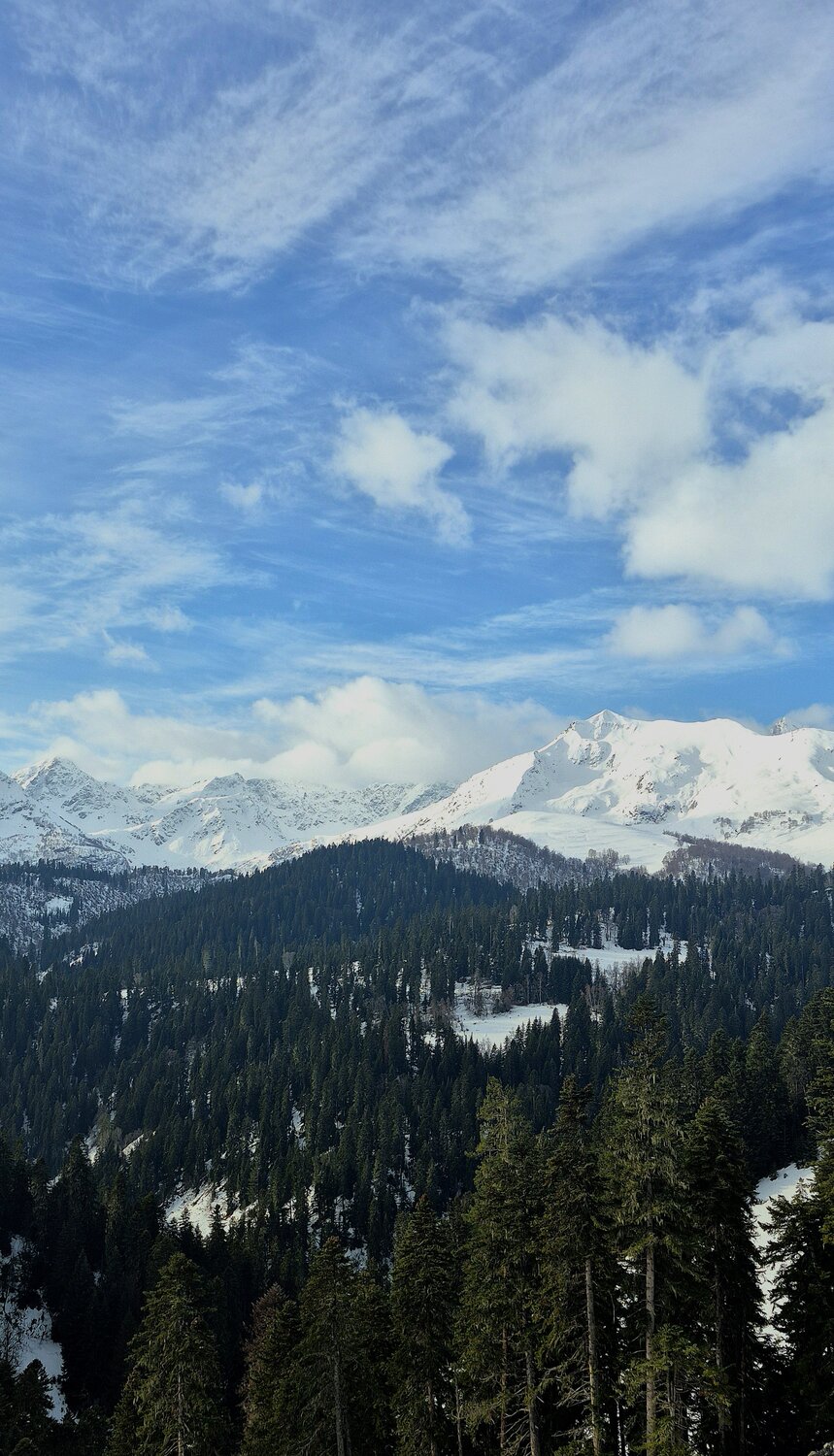 Photo #13502738