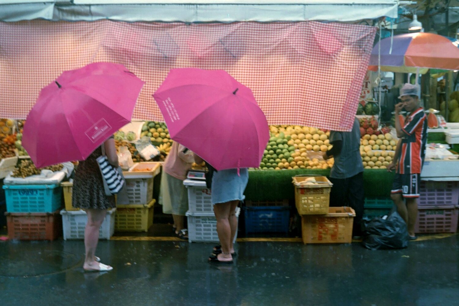 Photo #13503137