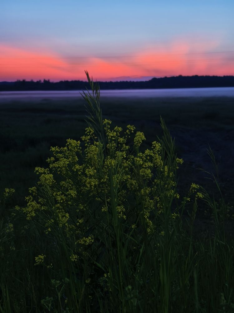 Photograph by Сергей Носов