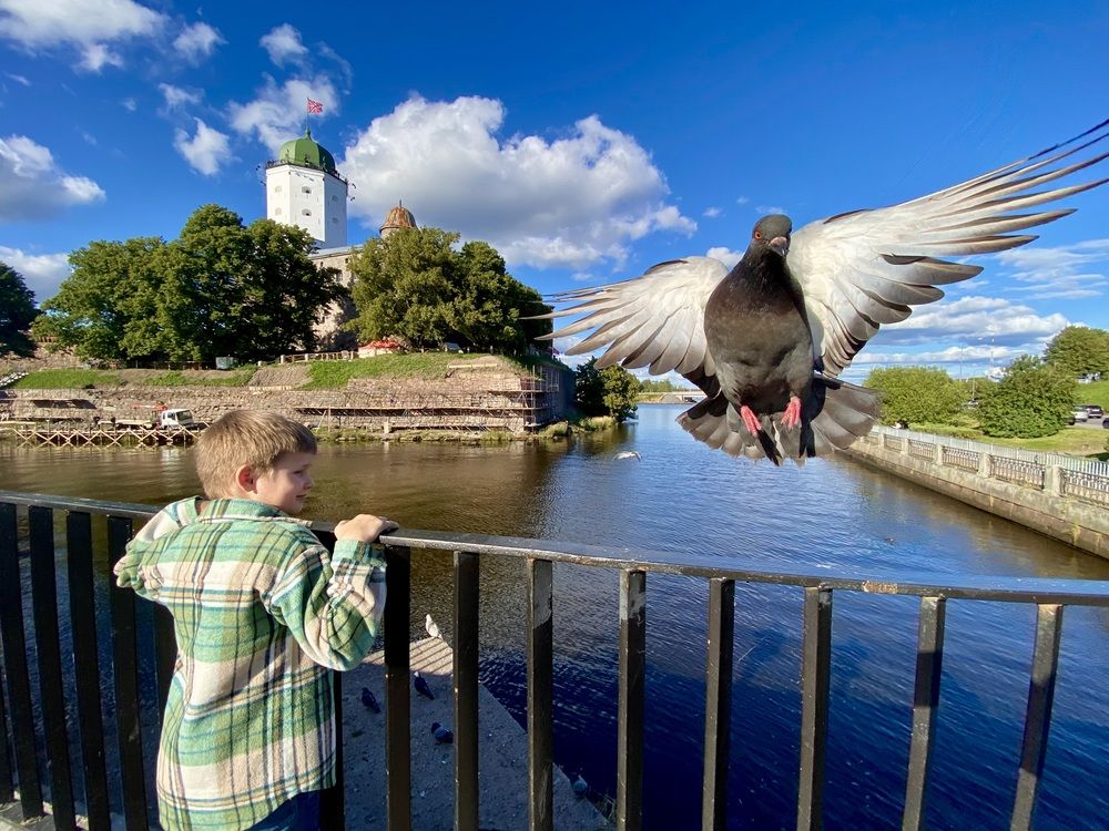 Photograph by Ольга Куркова