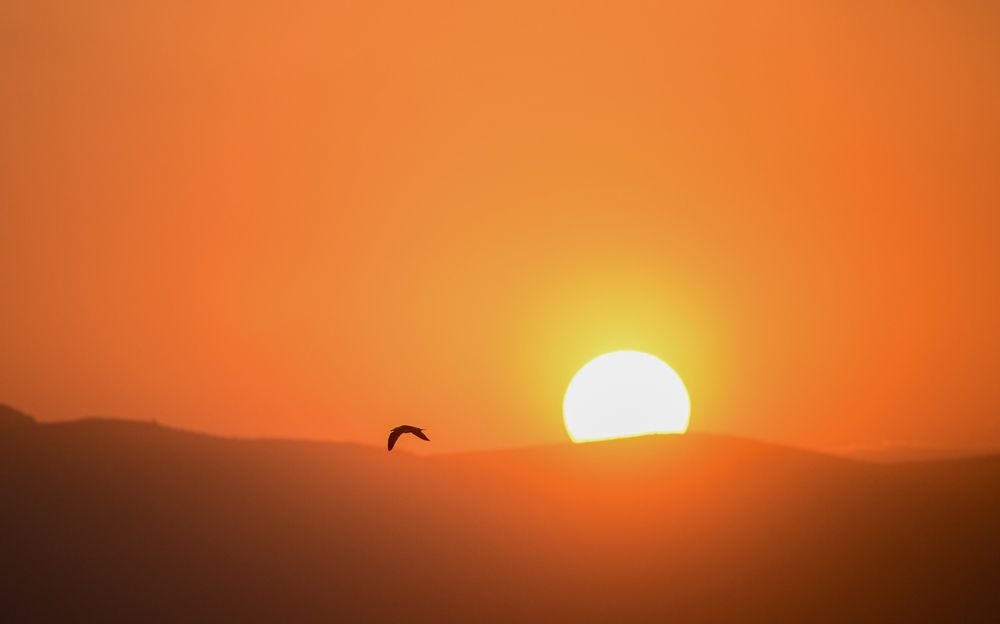 Golden sunset in Spain
