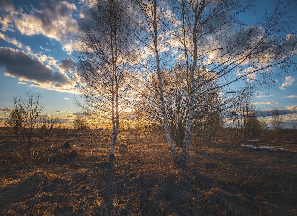 Photograph by Кирилл Сидоров