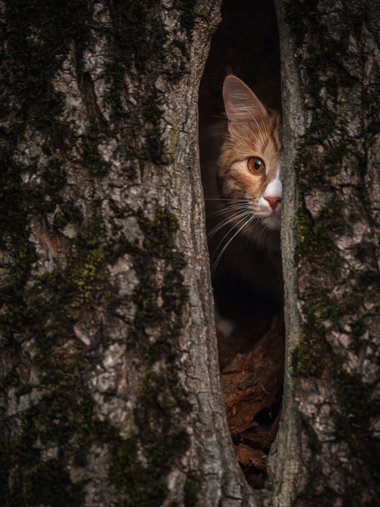 Photograph by Dina Damotseva