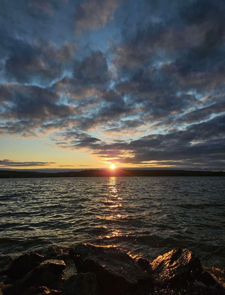 Photograph by Эльвира