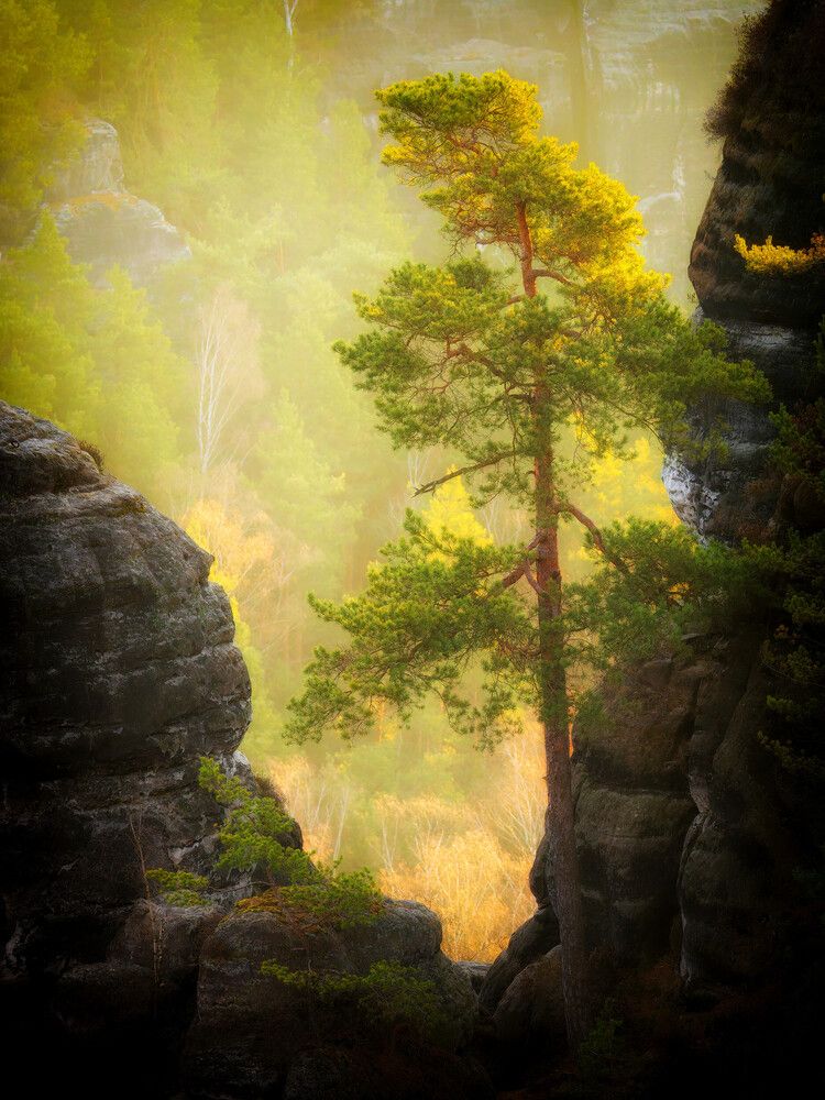 Photograph by Alexey Shaporin
