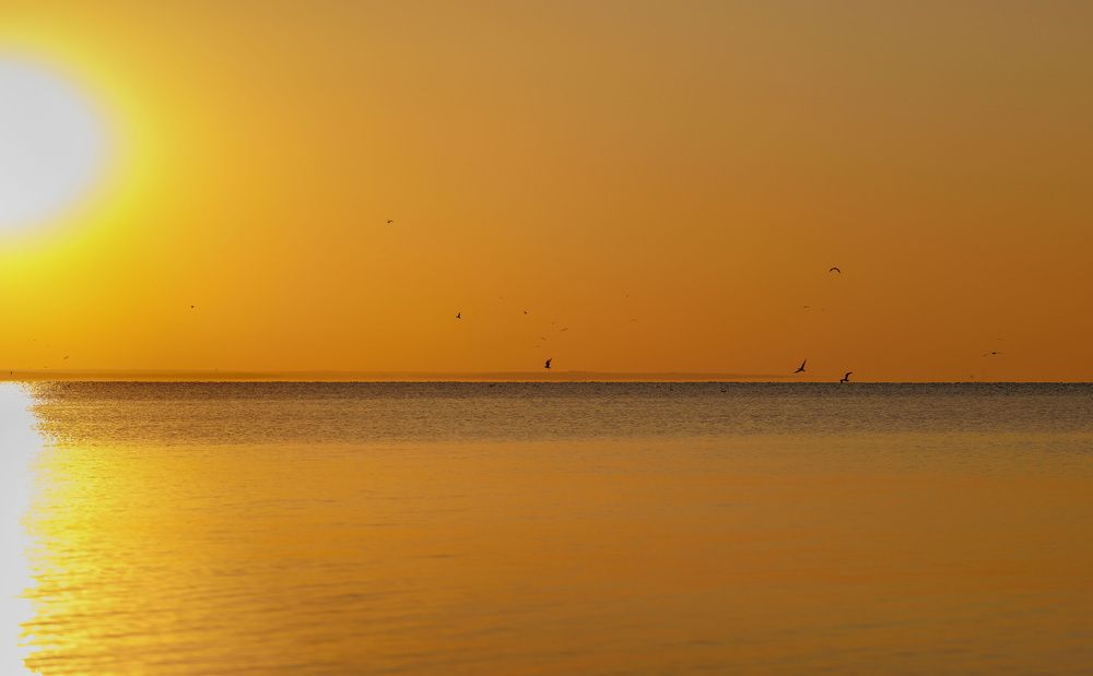 Photograph by Наталья Кирина