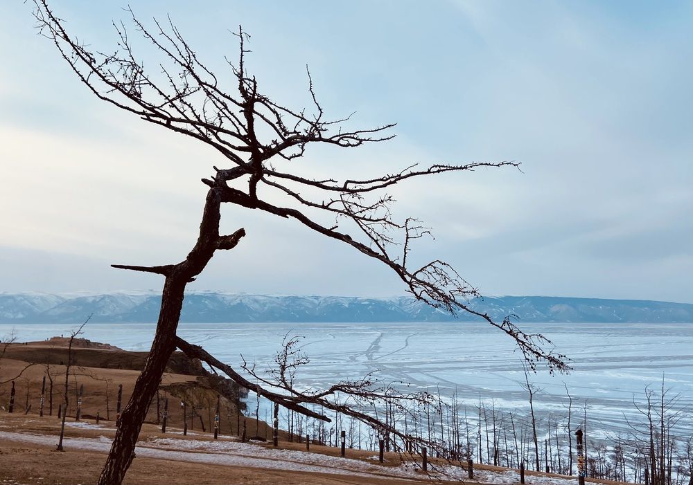 Photograph by Ольга Куркова