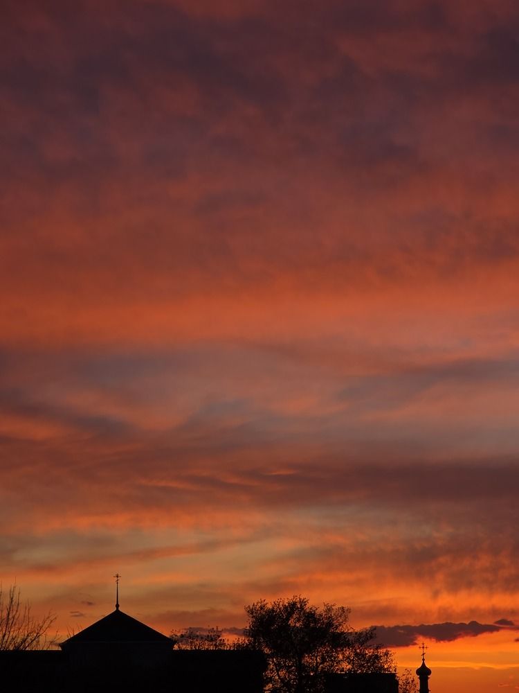 Photograph by Эльвира