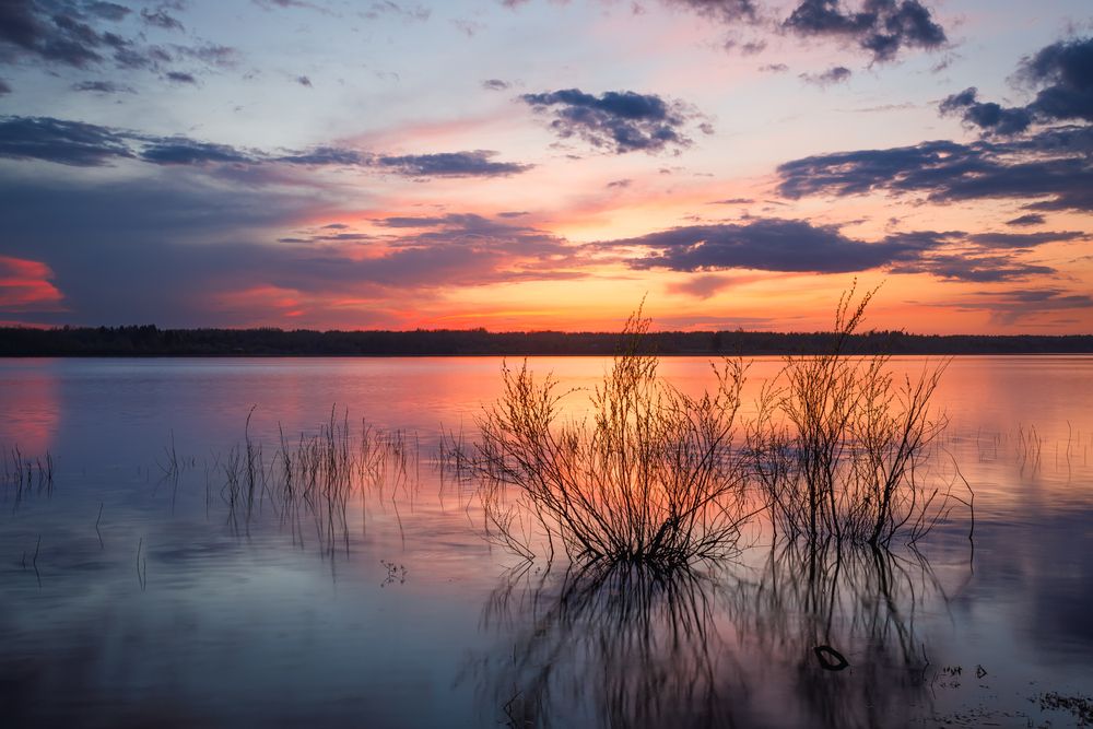 Photograph by Мария Казакова