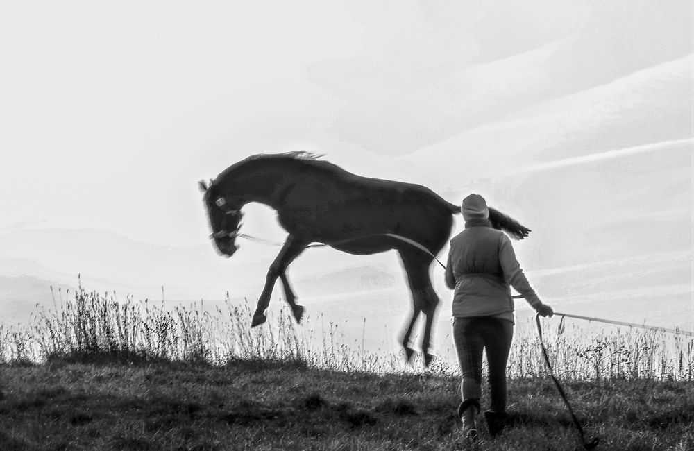 Photograph by Людмила Багинская
