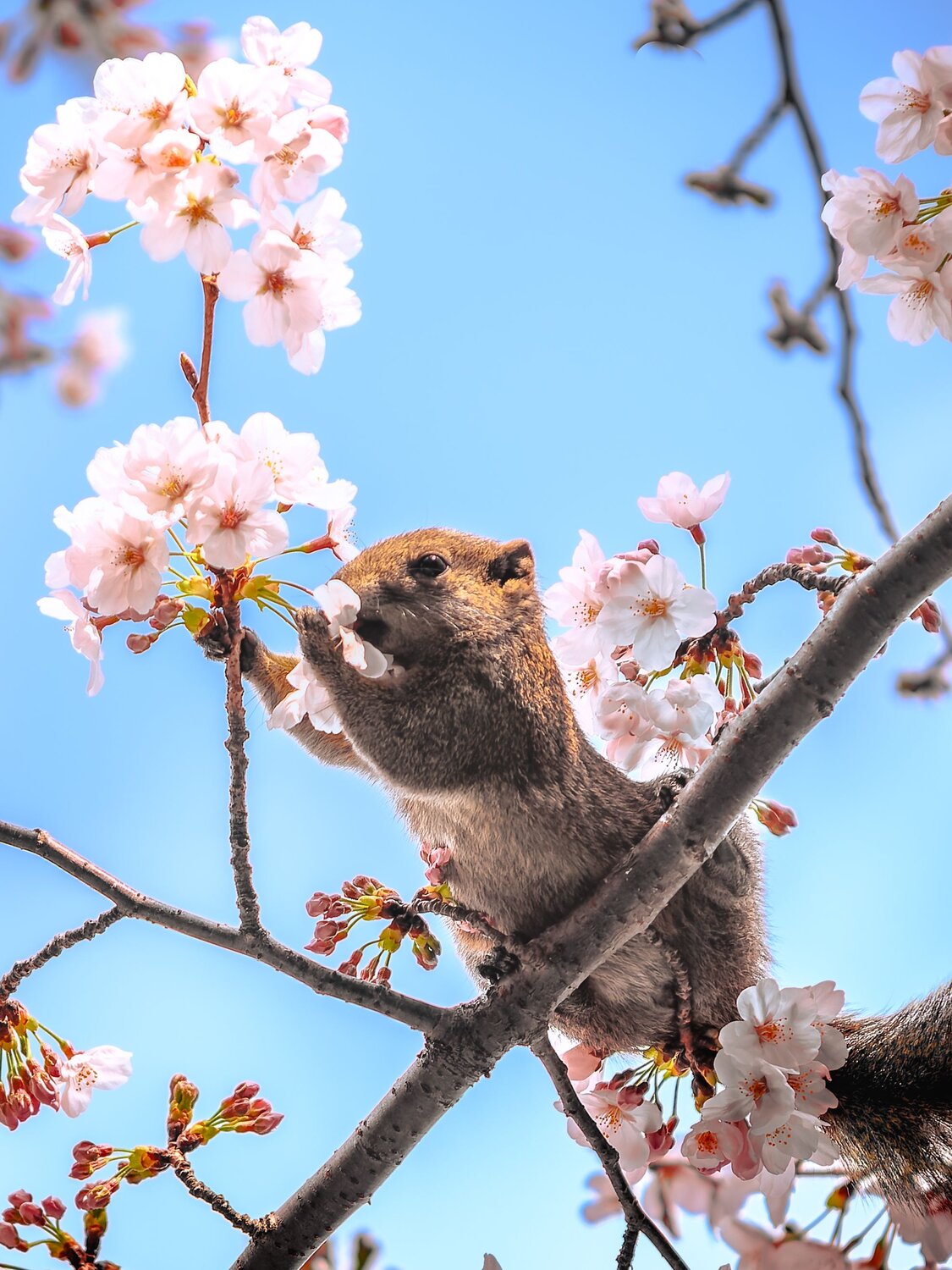 Photo #13505618