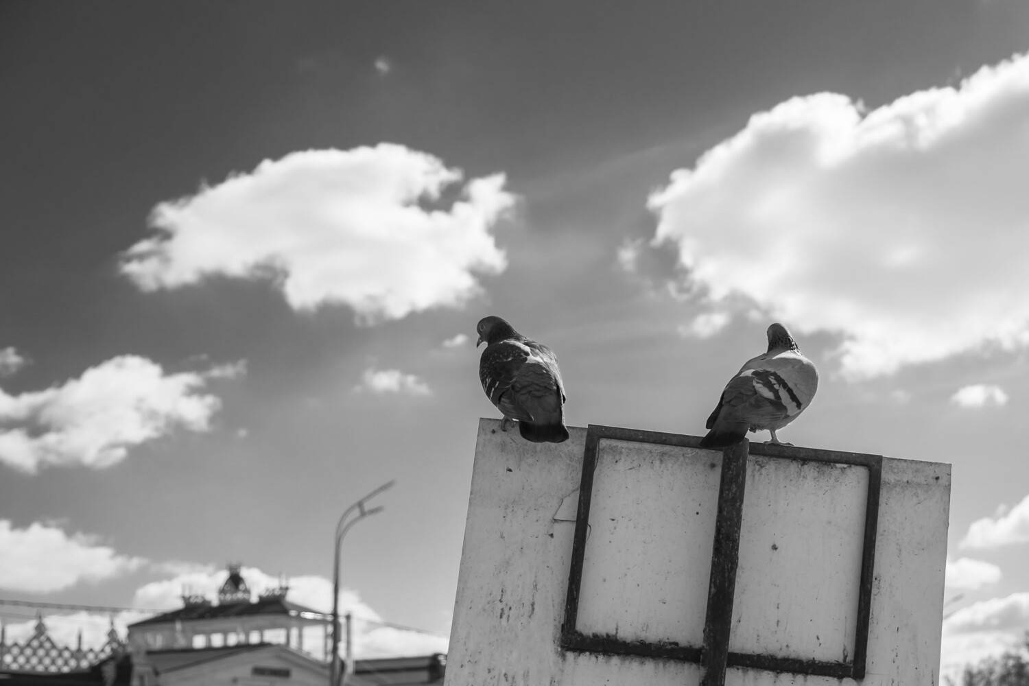 Photo #13505699