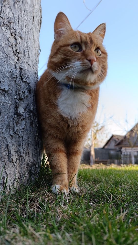Photograph by Татьяна