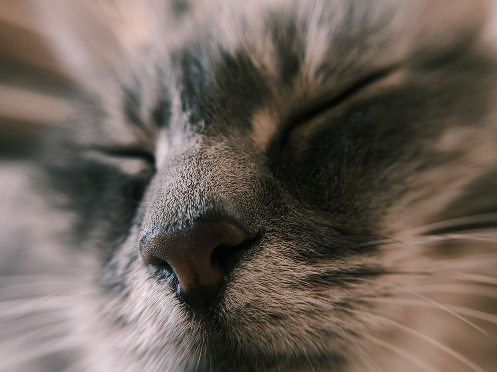 Photograph by Касаков Михаил