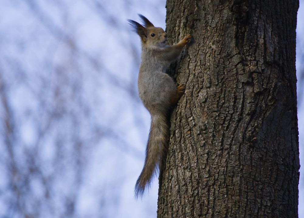 Photograph by Andrei Borisov