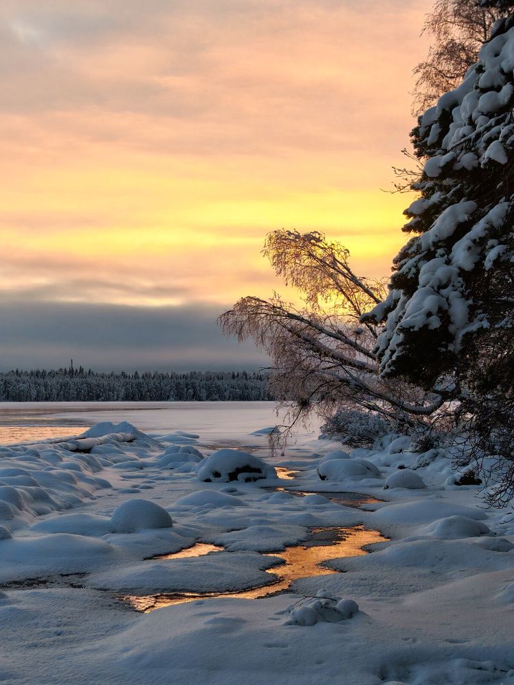 Photograph by OLga Piirainen