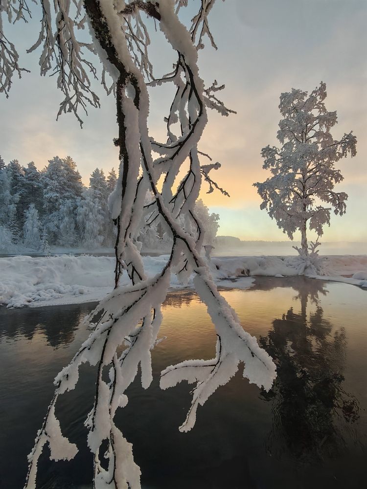 Photograph by OLga Piirainen
