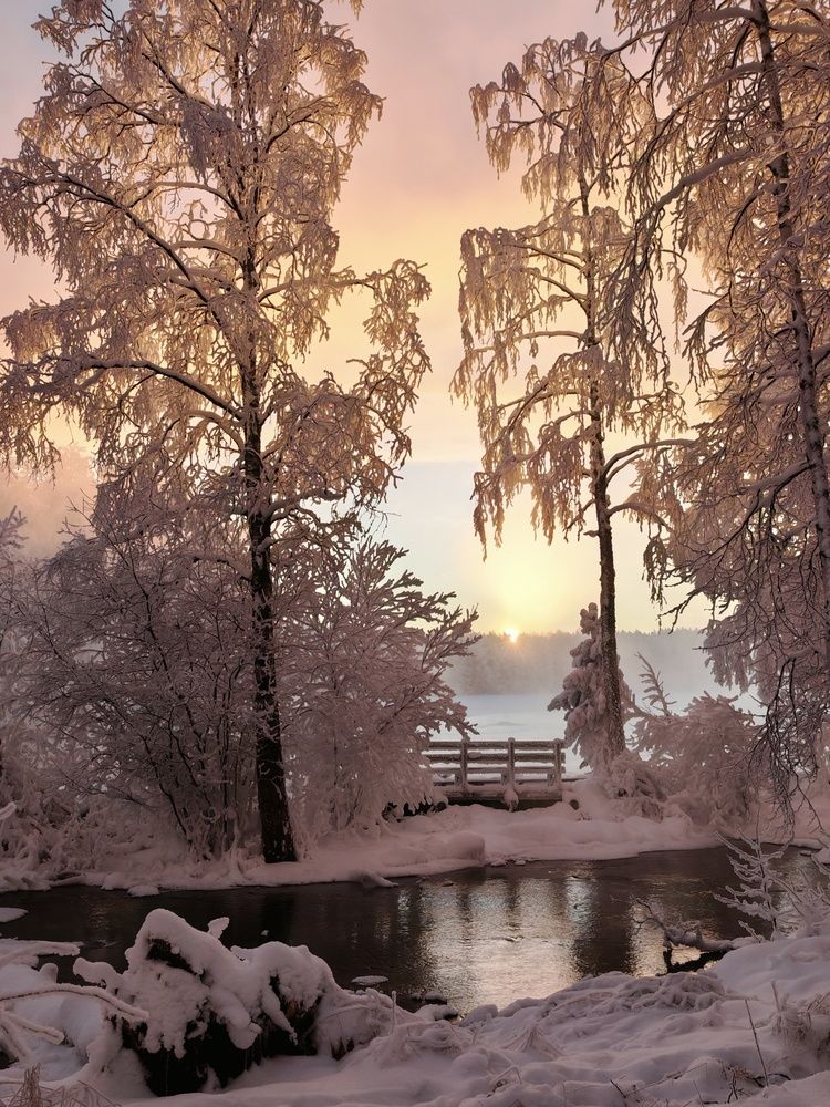 Photograph by OLga Piirainen