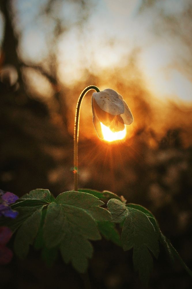 Photograph by Анна Захарчук