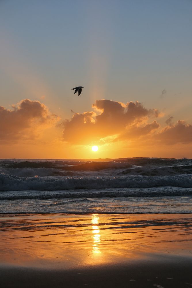 Morning beach
