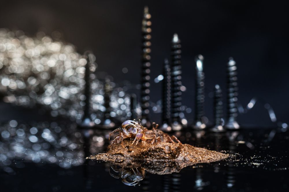 Photograph by Ly Phu Tai
