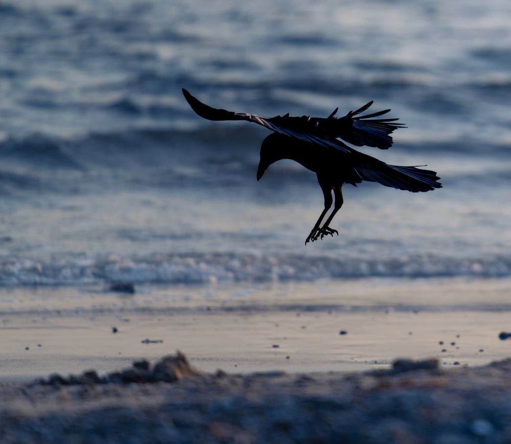 Photograph by OTONASI