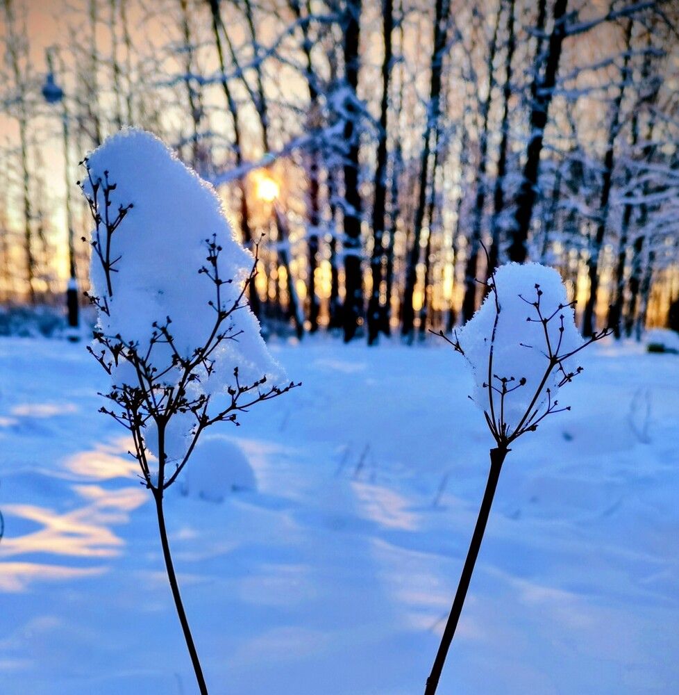 Photograph by Игорь Бахарев